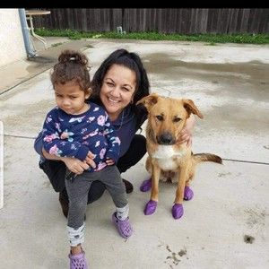 Meet your Posher, Posh